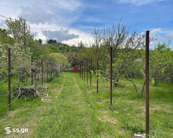 7 Room Private House For Sale view 57