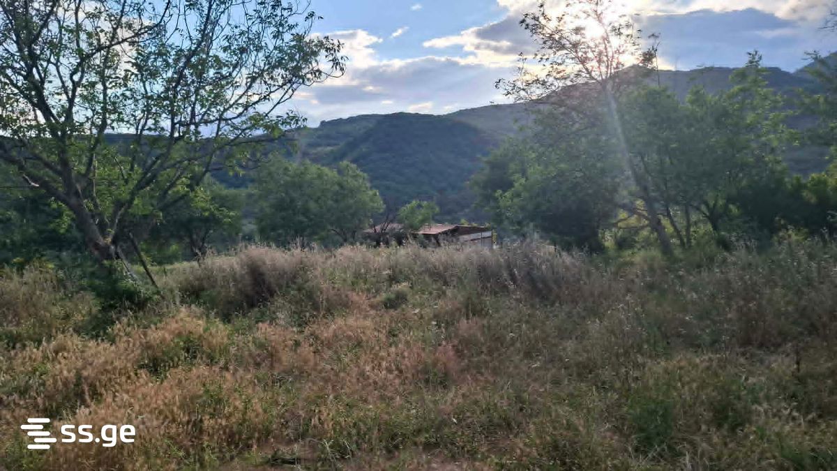 Land For Sale. Mamkoda view 3