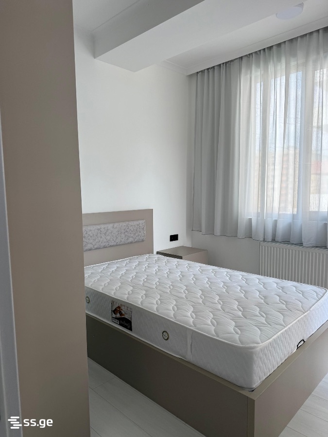 2 Room Flat Daily Rent. Rustavi view 8