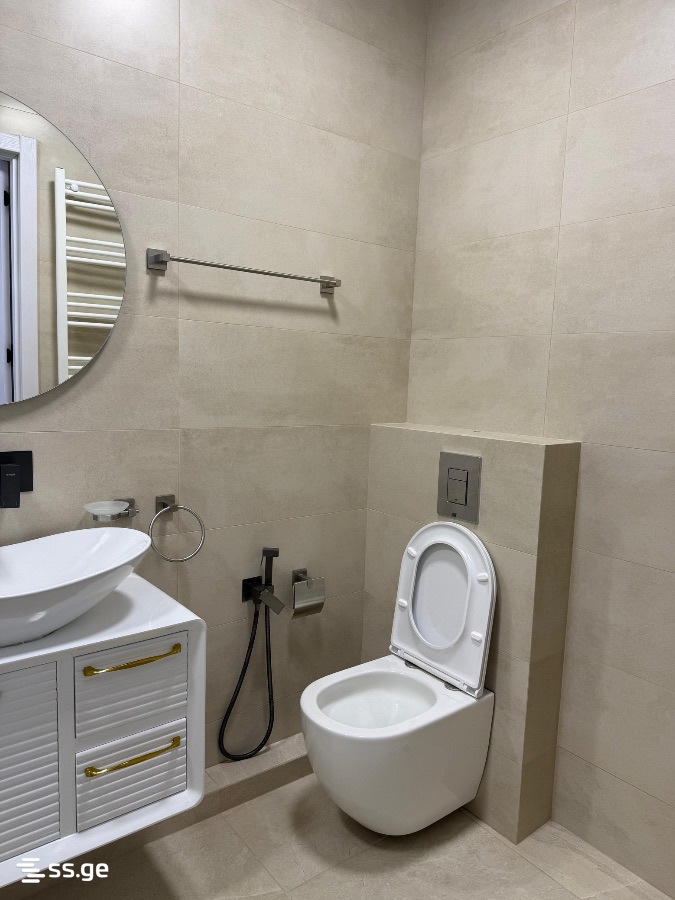 2 Room Flat Daily Rent. Rustavi view 13