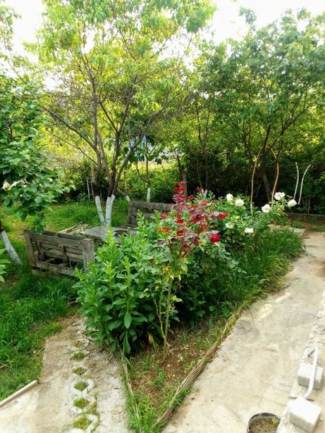 https://static.ss.ge/20260830/19_5d8b6ff2-585b-4042-bfb9-8a2e9299100f_Thumb.jpg