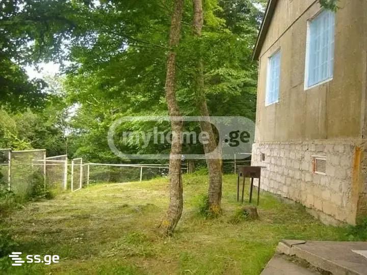 5 Room Summer Cottage For Rent. Kojori view 5