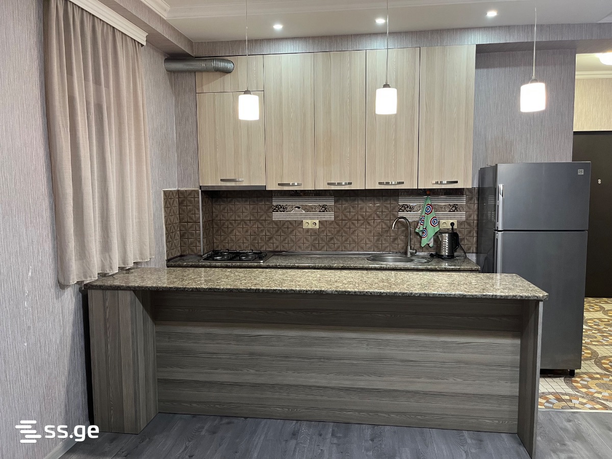 2 Room Flat Daily Rent. Rustavi view 5