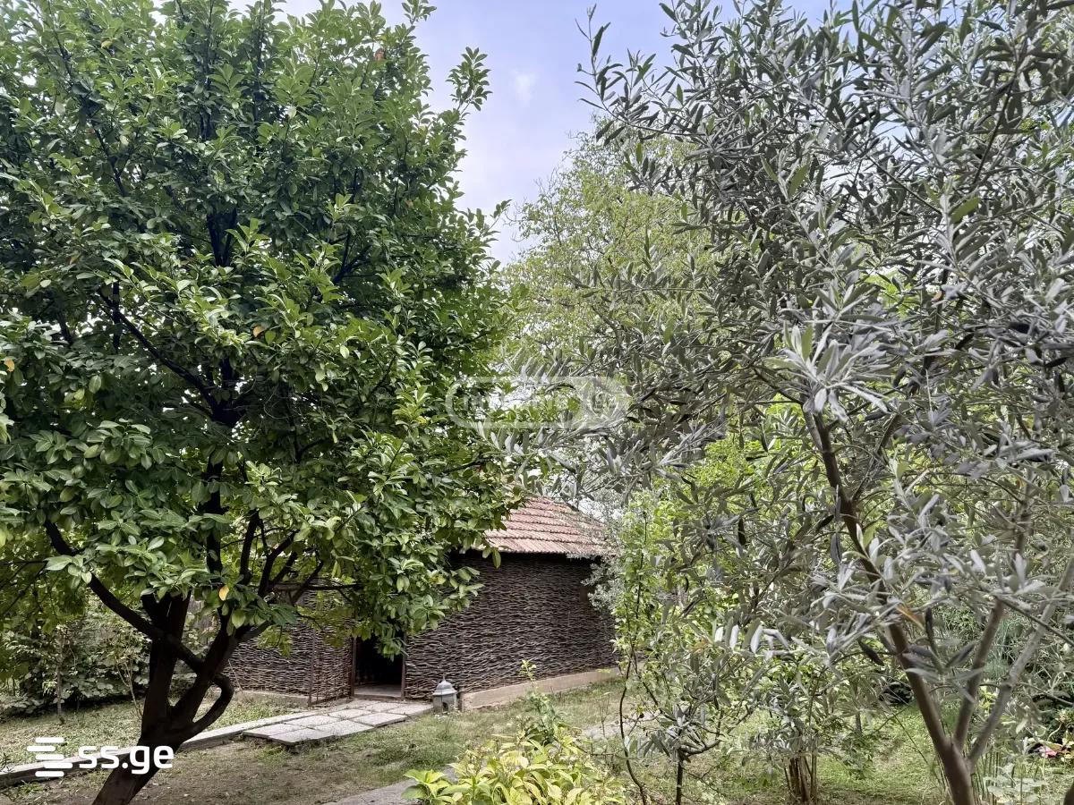 Summer Cottage For Rent. Saguramo view 6