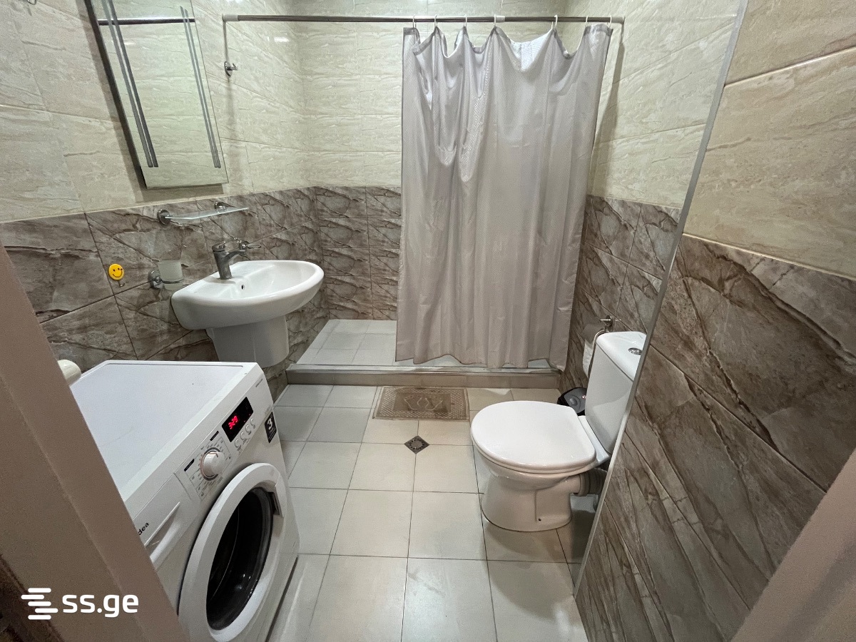 2 Room Flat Daily Rent. Rustavi view 4