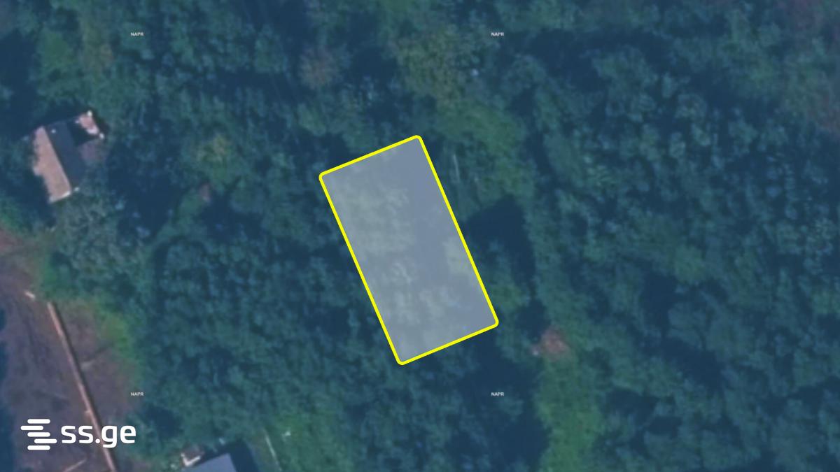 Land For Sale. Grigoleti view 1