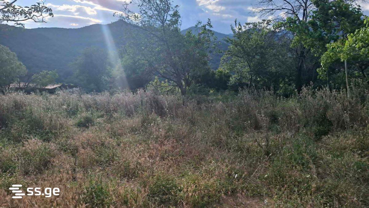 Land For Sale. Mamkoda view 4