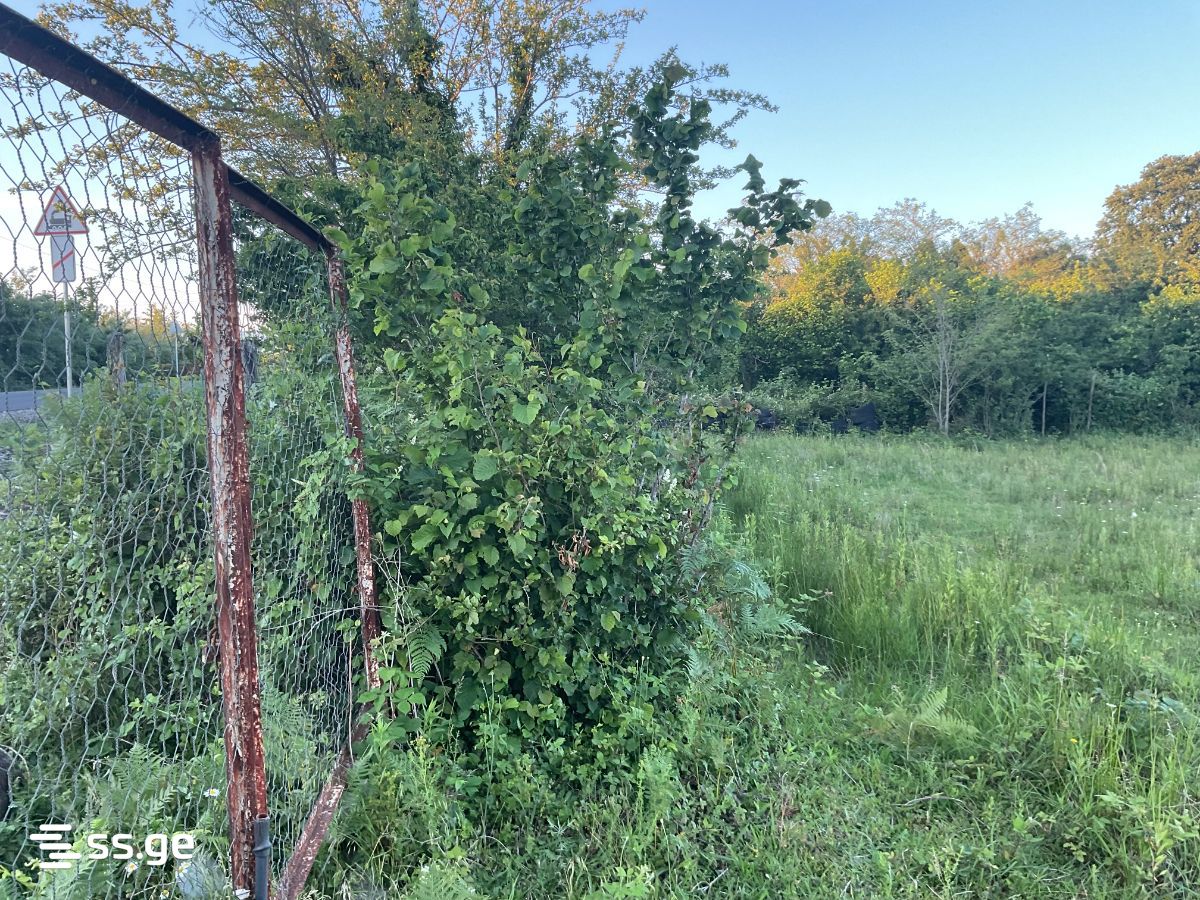 Land For Sale. Kutaisi view 2