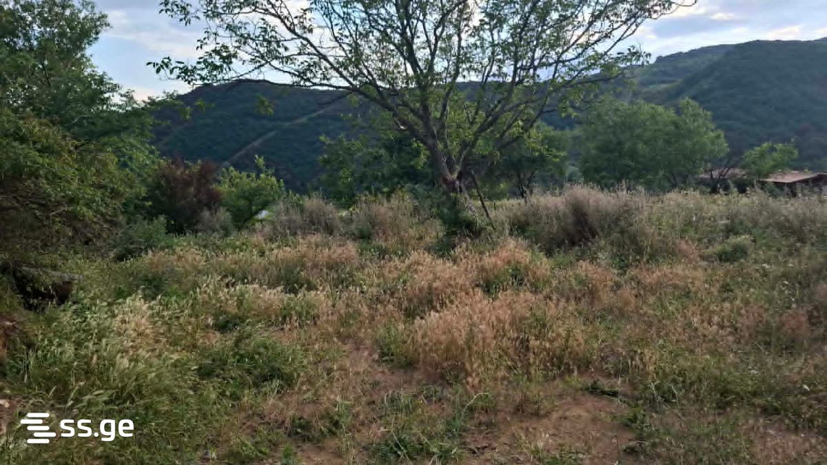 Land For Sale. Mamkoda view 1