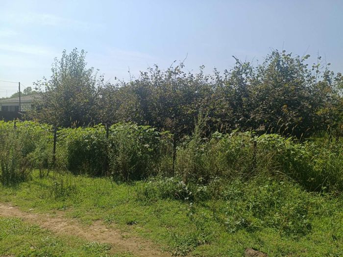 https://static.ss.ge/20260830/9_99aa383d-e779-4187-8a4c-b3fe314b0669_Thumb.jpg