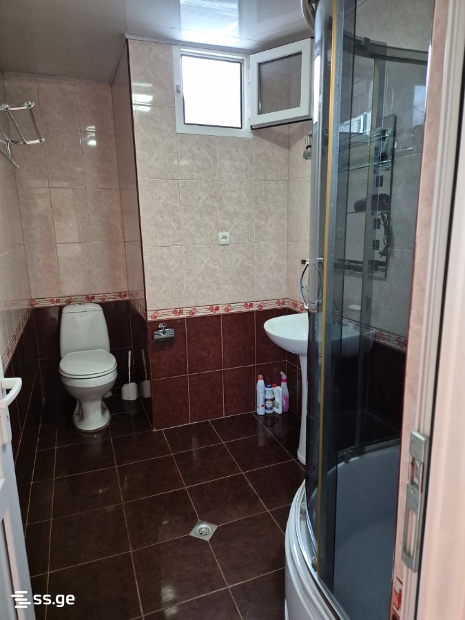 3 Room Flat Daily Rent. Borjomi view 11