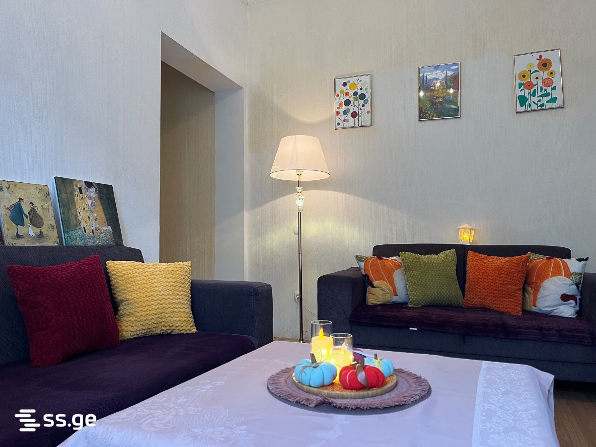 3 Room Flat Daily Rent. Borjomi view 4