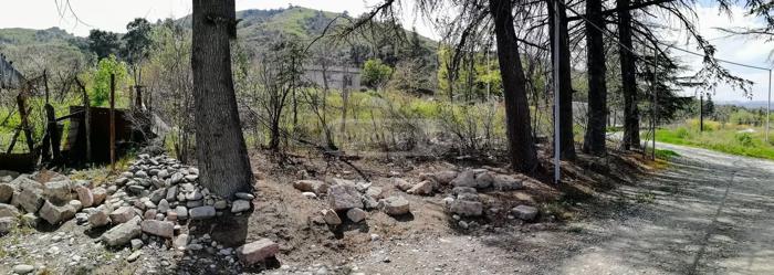 https://static.ss.ge/20260831/10_70f6ff4a-9f04-4376-aea2-78ca405af1e4_Thumb.jpg