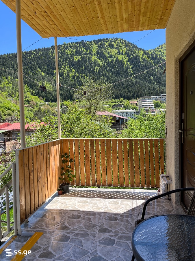 3 Room Flat Daily Rent. Borjomi view 13