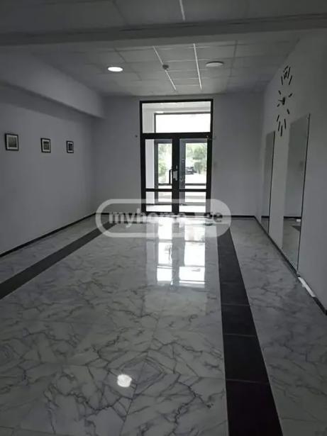 https://static.ss.ge/20260831/11_7cac83a6-cf5d-4b06-aa68-6095cd95c6b5_Thumb.jpg
