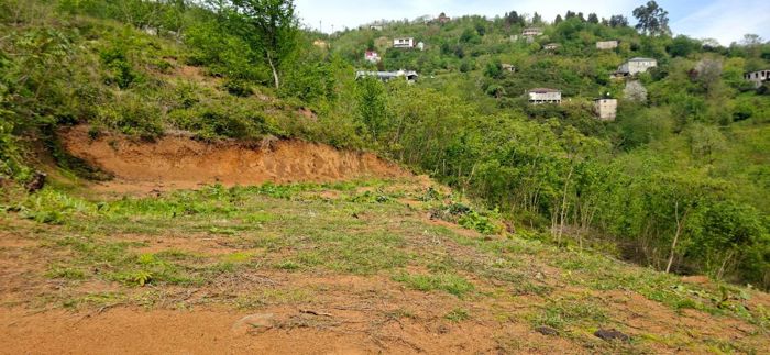 https://static.ss.ge/20260831/11_9954646d-a4b4-4089-a40a-52aec1b4e0f9_Thumb.jpg