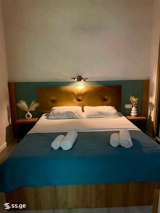 2 Room Flat Daily Rent. Tskaltubo view 4