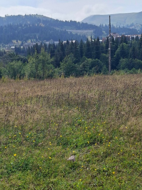 https://static.ss.ge/20260831/12_6f3d25f3-7a69-4524-b03b-f29de9c8dfc9_Thumb.jpg