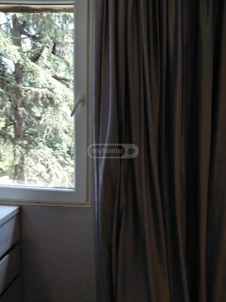 https://static.ss.ge/20260831/13_b9d8a2ca-db97-4dee-8929-6f45f709c278_Thumb.jpg