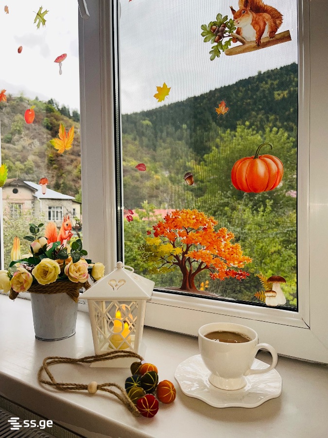 3 Room Flat Daily Rent. Borjomi view 2