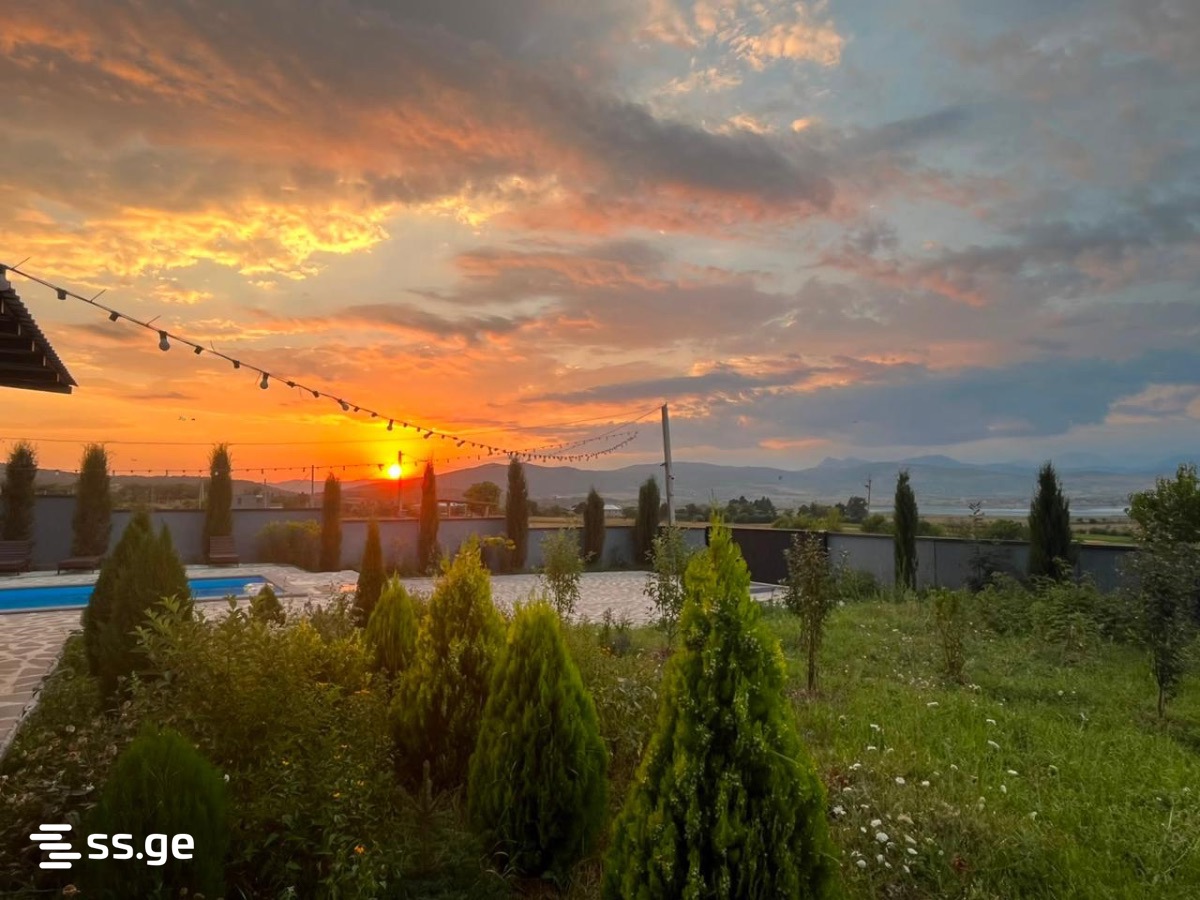 5 Room Private House Daily Rent. Bazaleti view 86