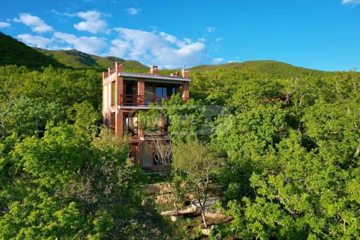 https://static.ss.ge/20260831/19_e09892a1-e572-4f9b-96a3-036c3b957215_Thumb.jpg