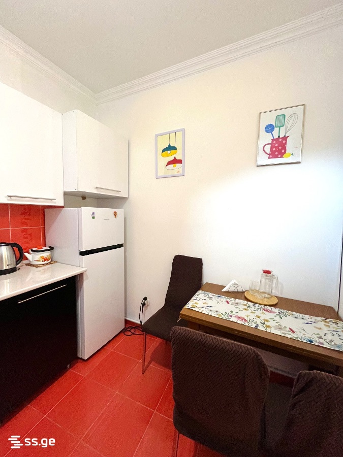 3 Room Flat Daily Rent. Borjomi view 10