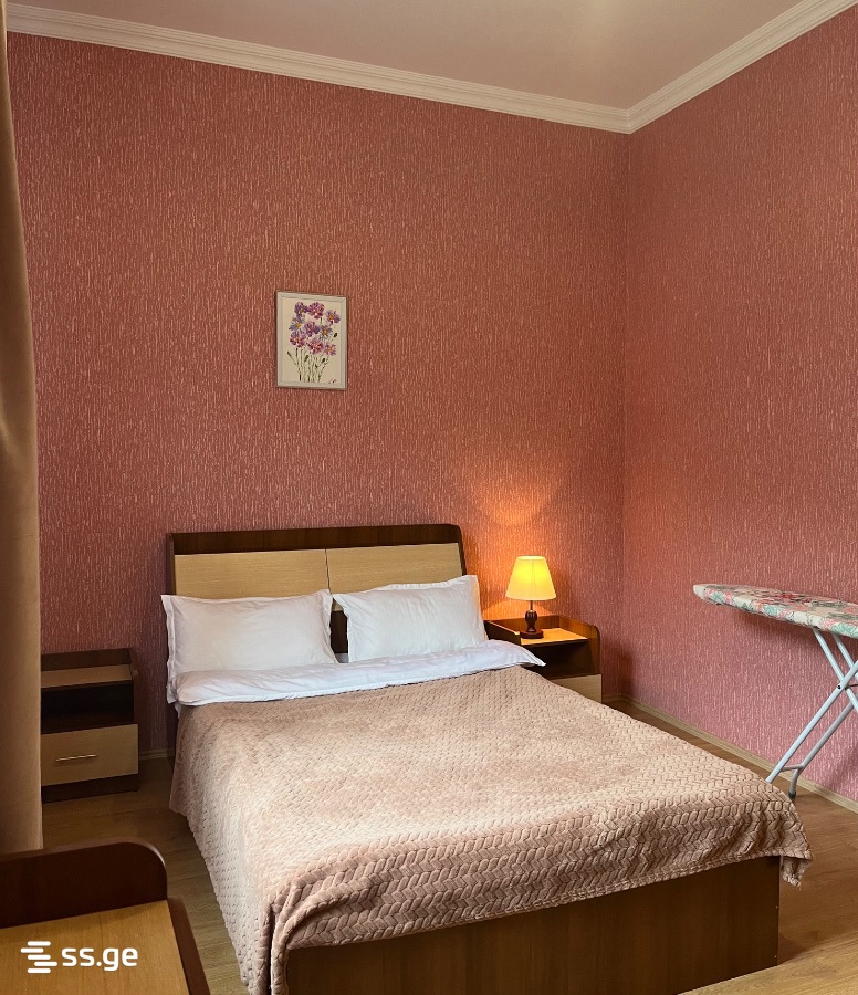 3 Room Flat Daily Rent. Borjomi view 7