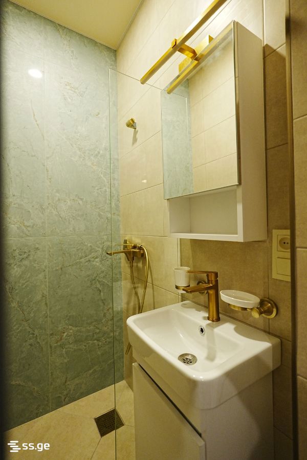 1 Room Flat For Rent. Kobuleti view 9