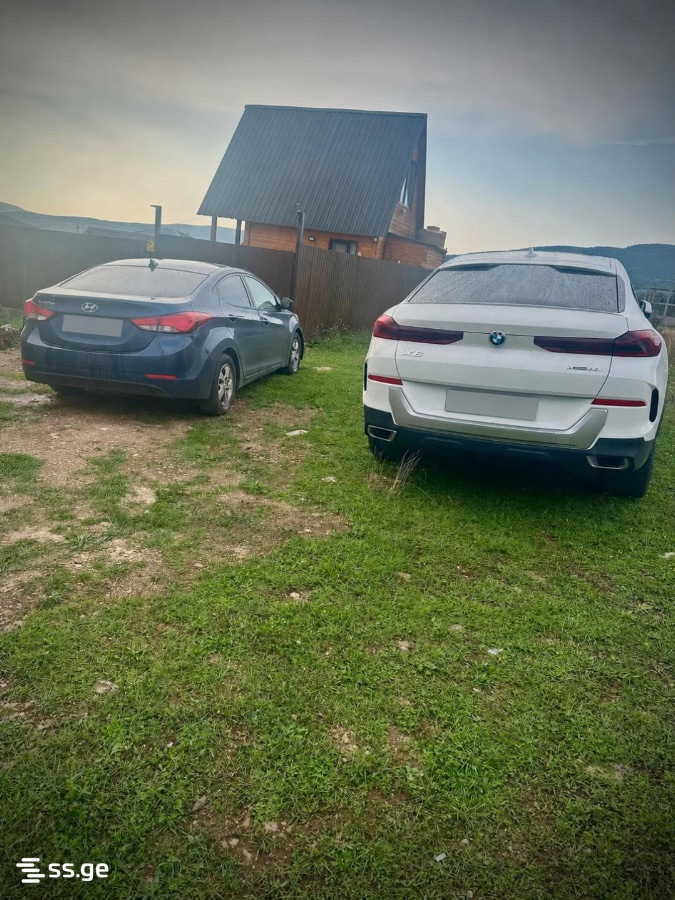 2 Room Summer Cottage Daily Rent. Bazaleti view 13