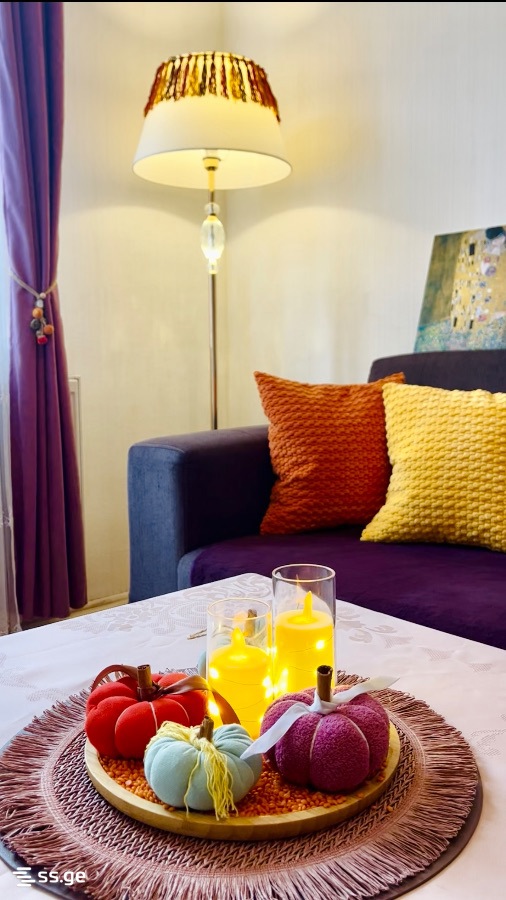 3 Room Flat Daily Rent. Borjomi view 3