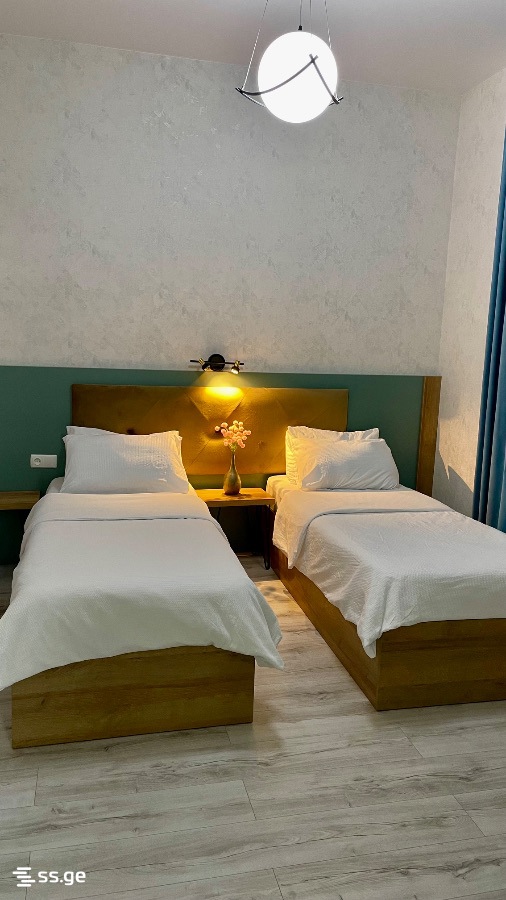 2 Room Flat Daily Rent. Tskaltubo view 5