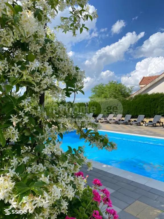 7 Room Private House For Rent. Tserovani view 8