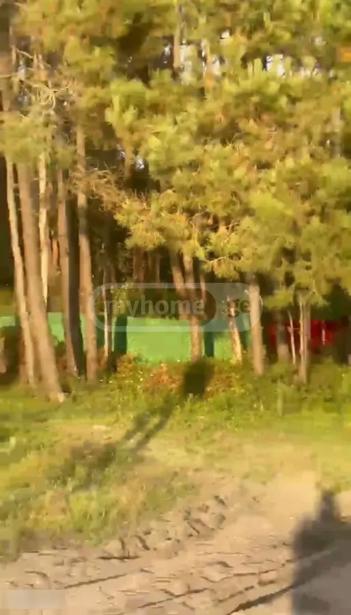https://static.ss.ge/20260901/0_d1d9b5f0-a2a4-4902-b59c-fb1ae39edb30_Thumb.jpg