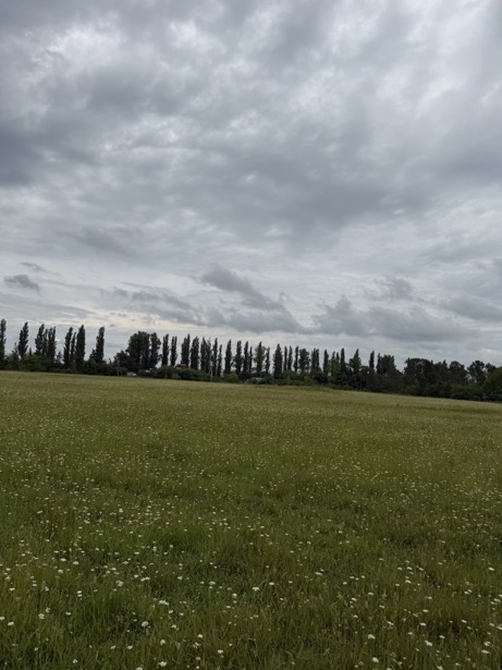 https://static.ss.ge/20260901/0_fd8fe21c-f79c-4414-9b15-ecaf6b4c4d5f_Thumb.jpg