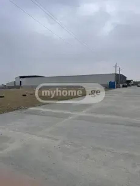 https://static.ss.ge/20260901/10_d996ec97-7b70-45d5-b6c0-c0766c529209_Thumb.jpg