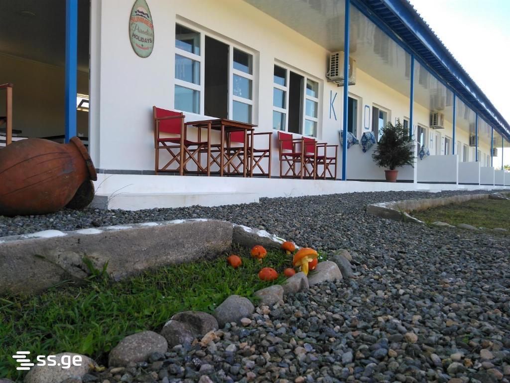 6 Room Summer Cottage For Rent. Grigoleti view 3