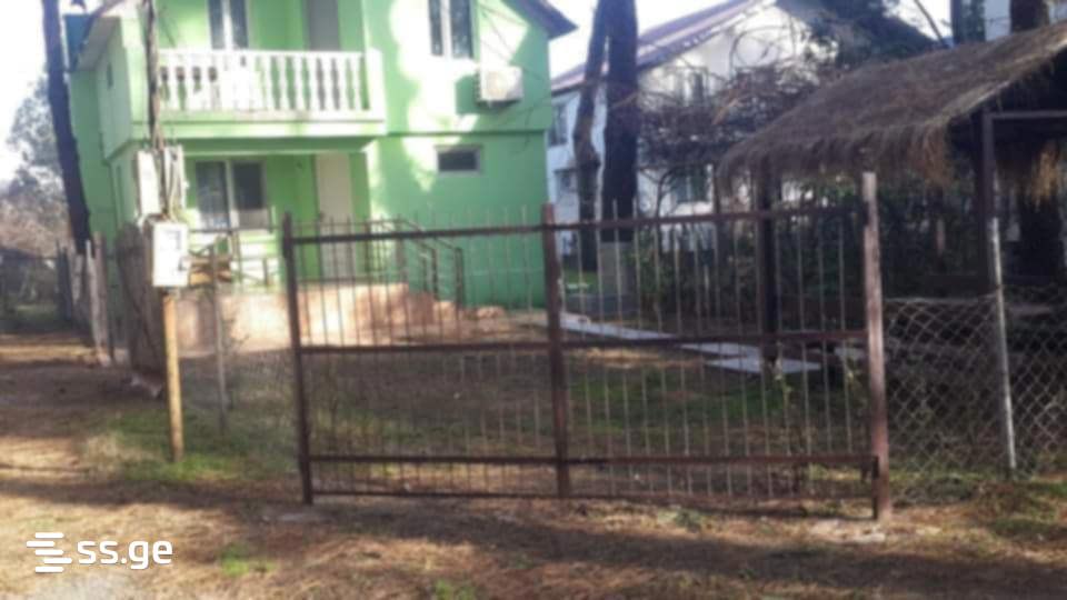 4 Room Summer Cottage Daily Rent. Grigoleti view 7