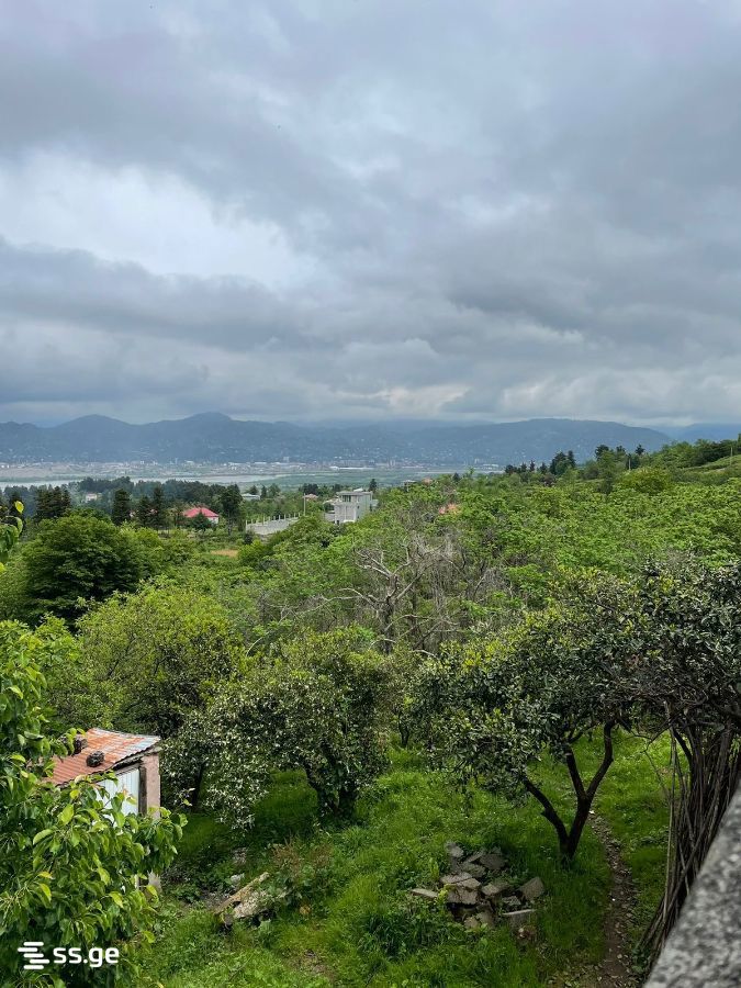 Land For Sale. Akhalsopeli view 6