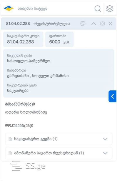 https://static.ss.ge/20260901/1_31e4cccb-24ff-4b7c-aaa9-8f1d2376289b_Thumb.jpg