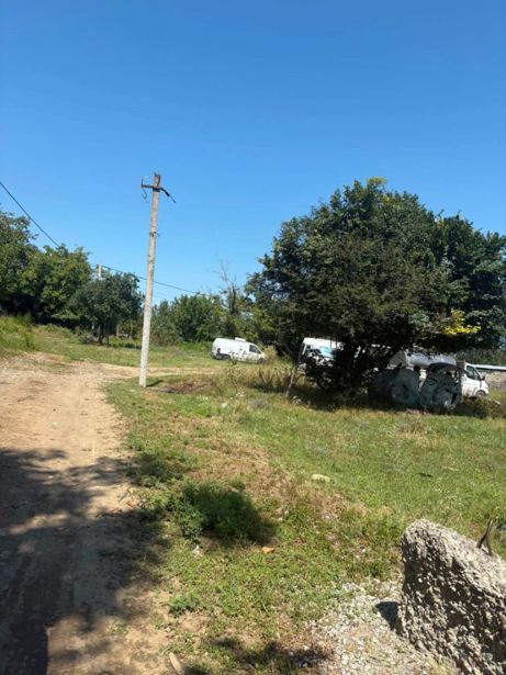 https://static.ss.ge/20260901/2_e658ef37-7e2a-4337-8a8f-97da6810e701_Thumb.jpg
