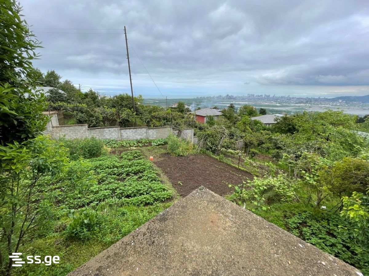 Land For Sale. Akhalsopeli view 13