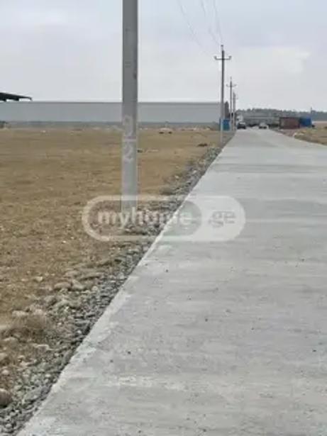 https://static.ss.ge/20260901/5_7b77c280-613b-4d81-95b6-dff50d549bbc_Thumb.jpg