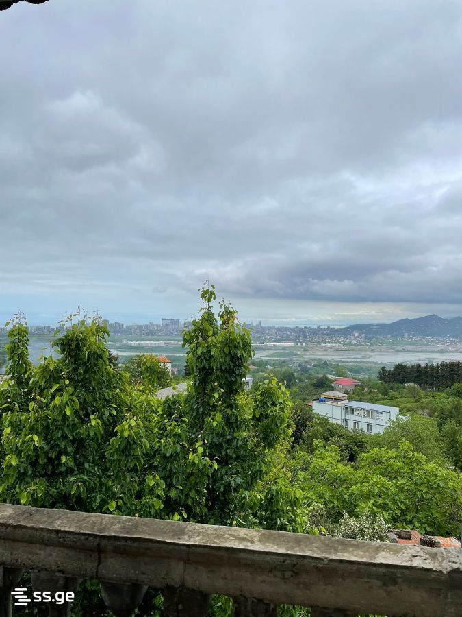Land For Sale. Akhalsopeli view 8