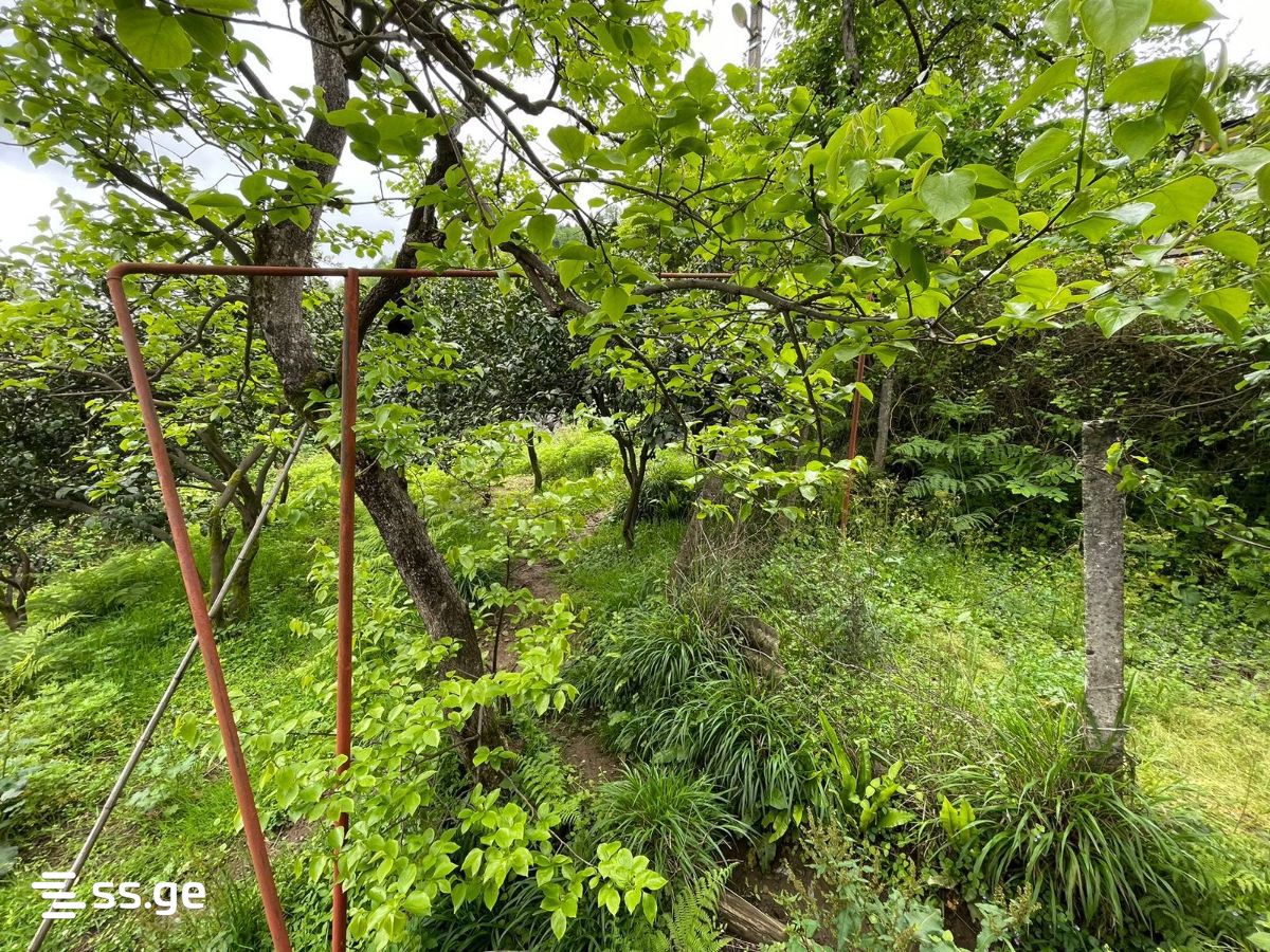 Land For Sale. Akhalsopeli view 10