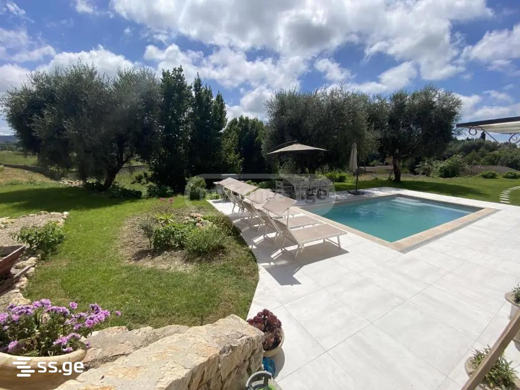 Private House For Rent. Tserovani view 14