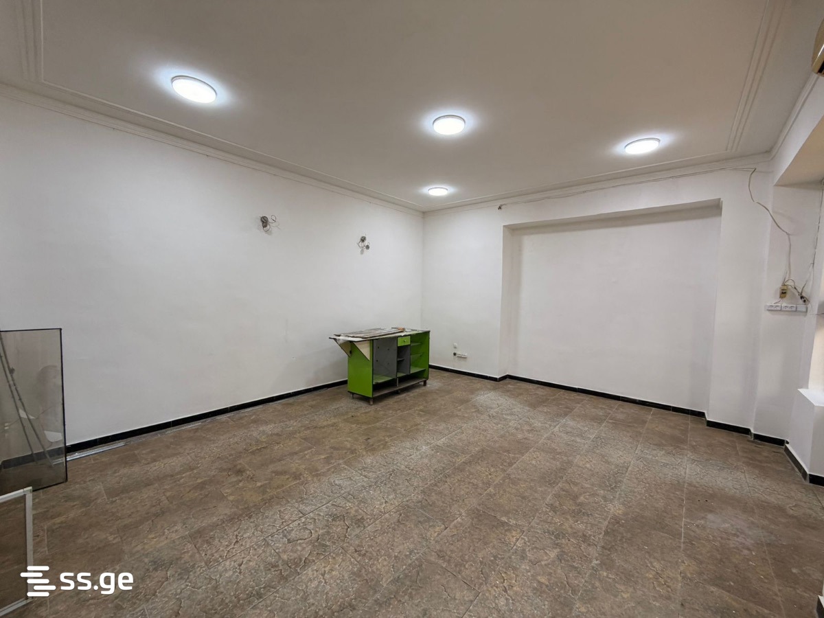 Commercial Real Estate For Rent. Kutaisi view 2