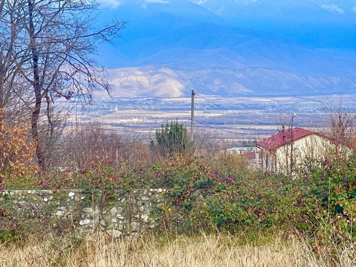 https://static.ss.ge/20260902/12_8f98caf0-35cc-4281-9131-14d34aad0cea_Thumb.jpg