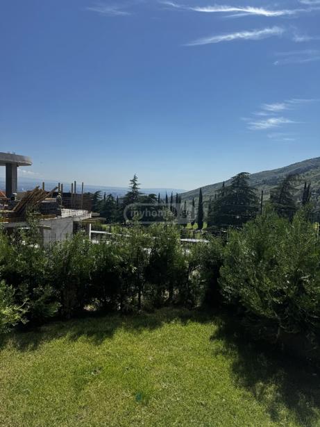 https://static.ss.ge/20260902/15_c527b048-6d10-4dd1-adfc-cd5894ccc741_Thumb.jpg