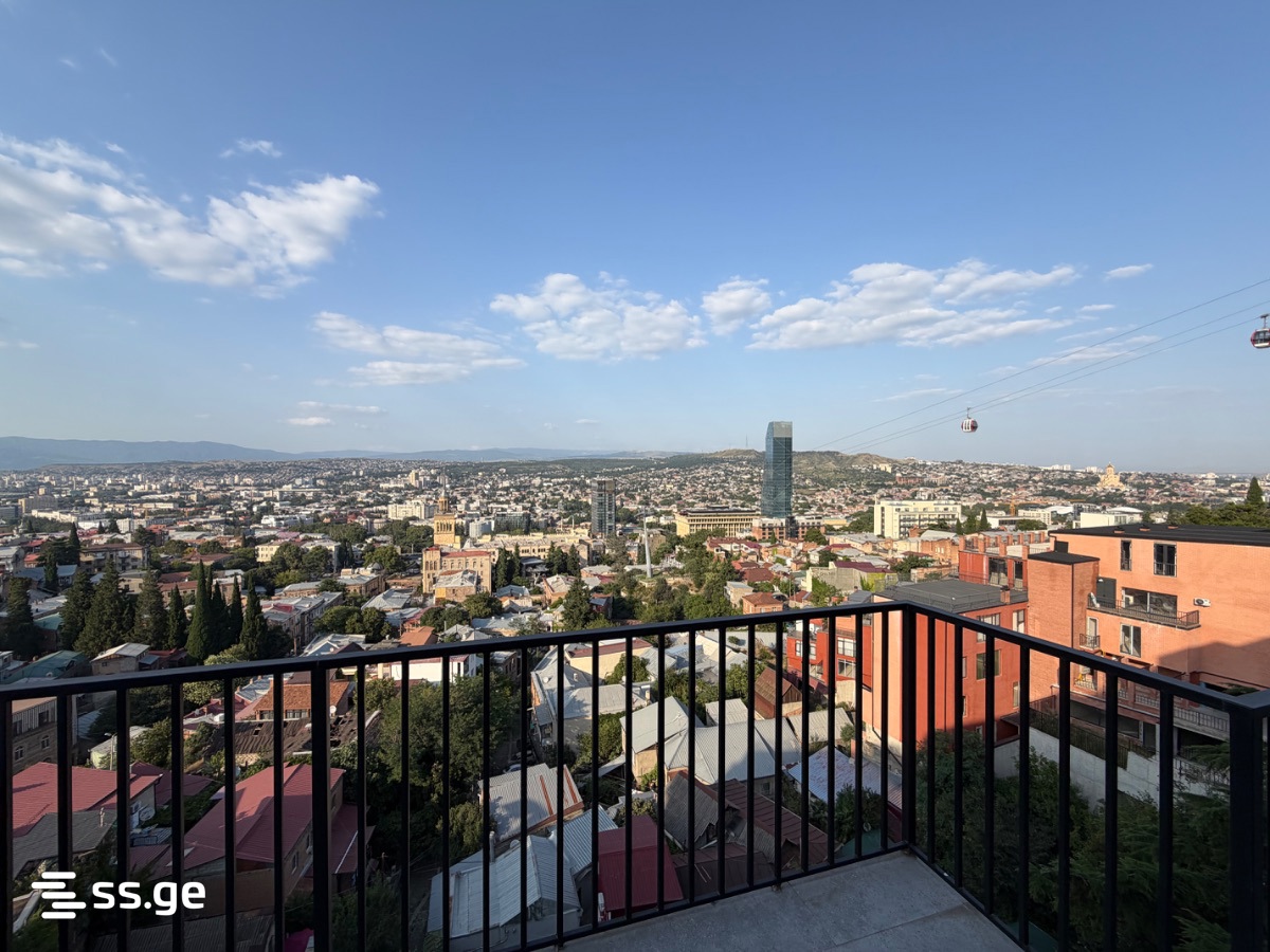 Polikarpe Kakabadze St, 47: Studio, 230.0 M² | Korter.Ge view 29